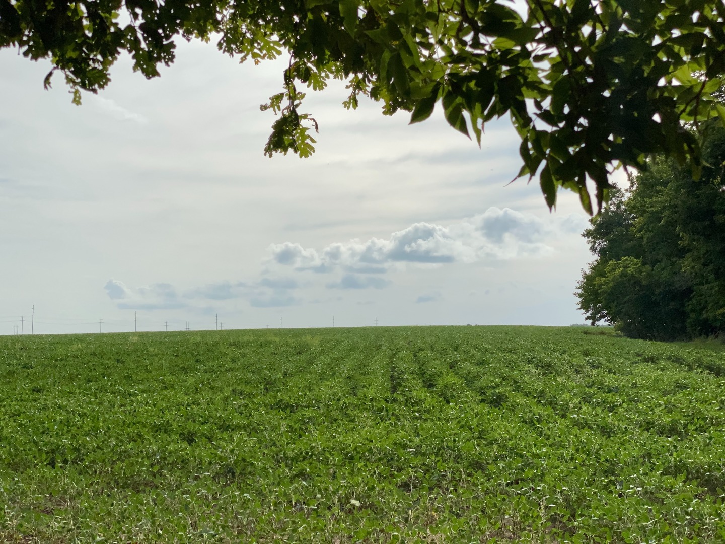 Sec 7 Shiloh Road Mackinaw, IL 61759 - Photo 1 of 44