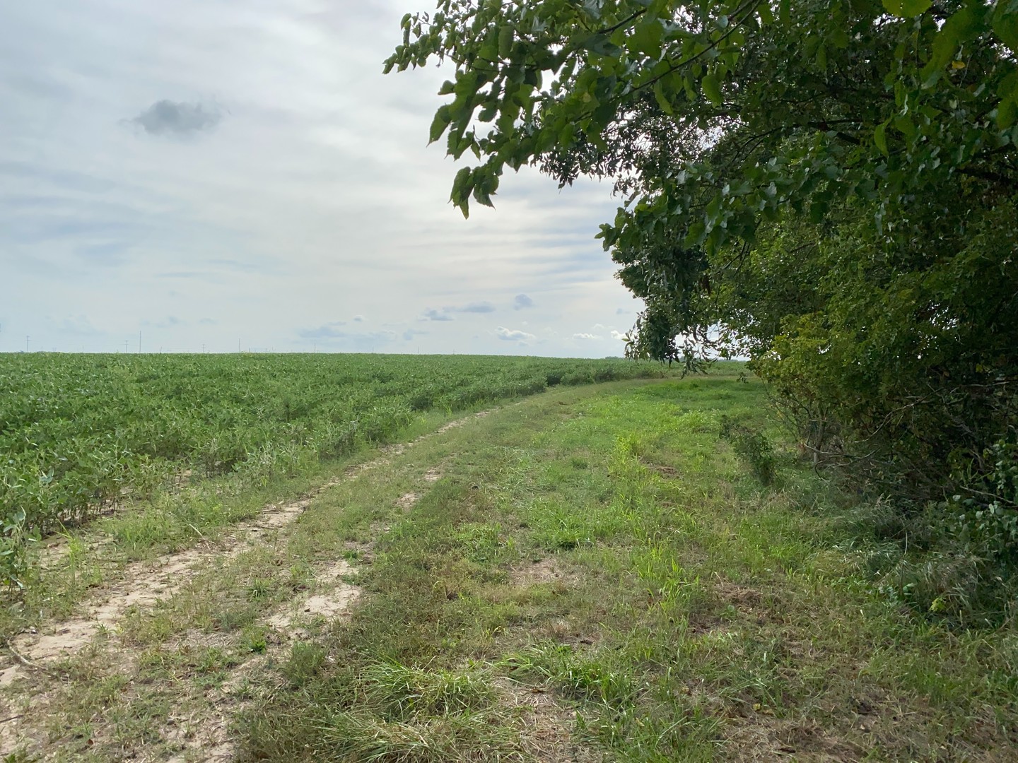 Sec 7 Shiloh Road Mackinaw, IL 61759 - Photo 3 of 44