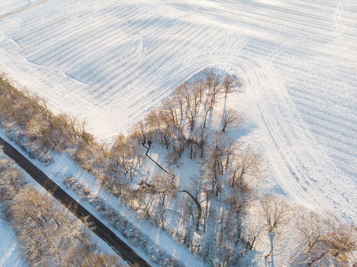 Sec 7 Shiloh Road Mackinaw, IL 61759 - Photo 22 of 44