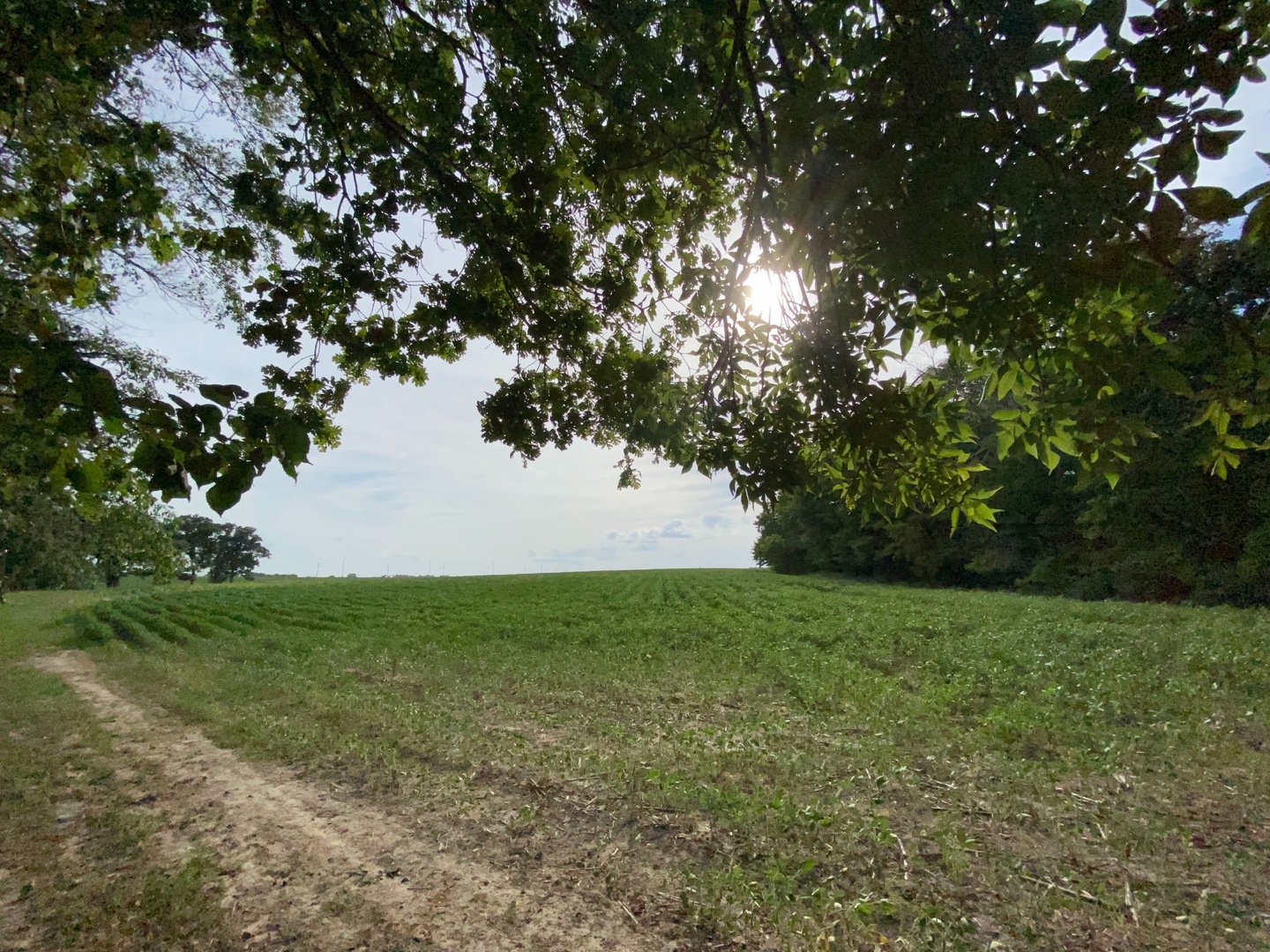 Sec 7 Shiloh Road Mackinaw, IL 61759 - Photo 4 of 44