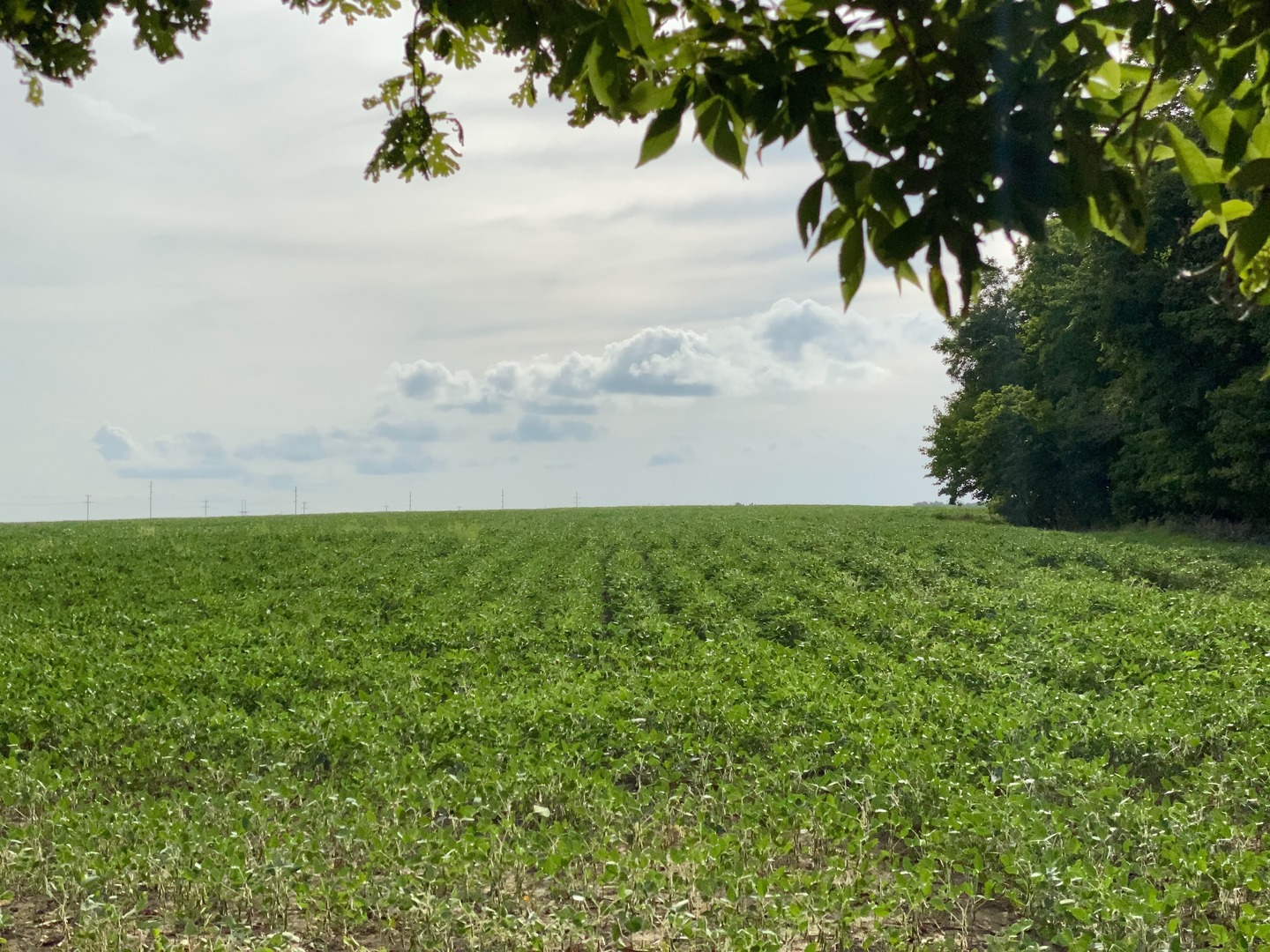 Sec 7 Shiloh Road Mackinaw, IL 61759 - Photo 5 of 44