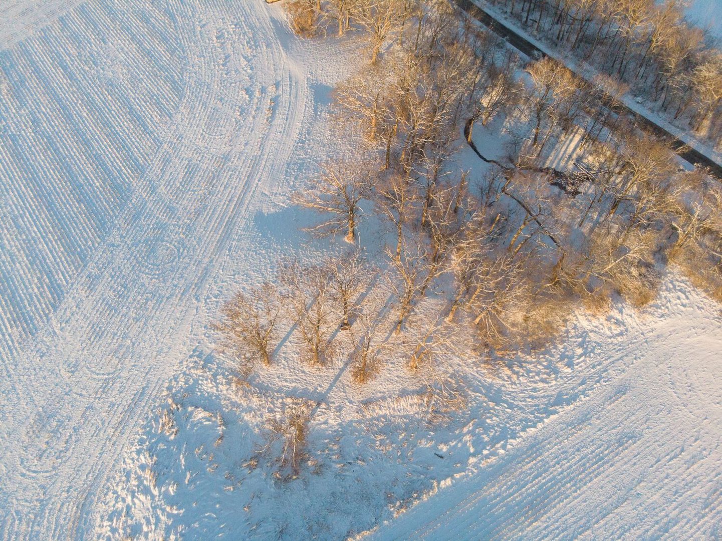 Sec 7 Shiloh Road Mackinaw, IL 61759 - Photo 41 of 44