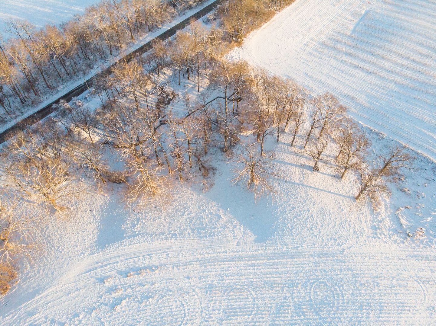 Sec 7 Shiloh Road Mackinaw, IL 61759 - Photo 42 of 44
