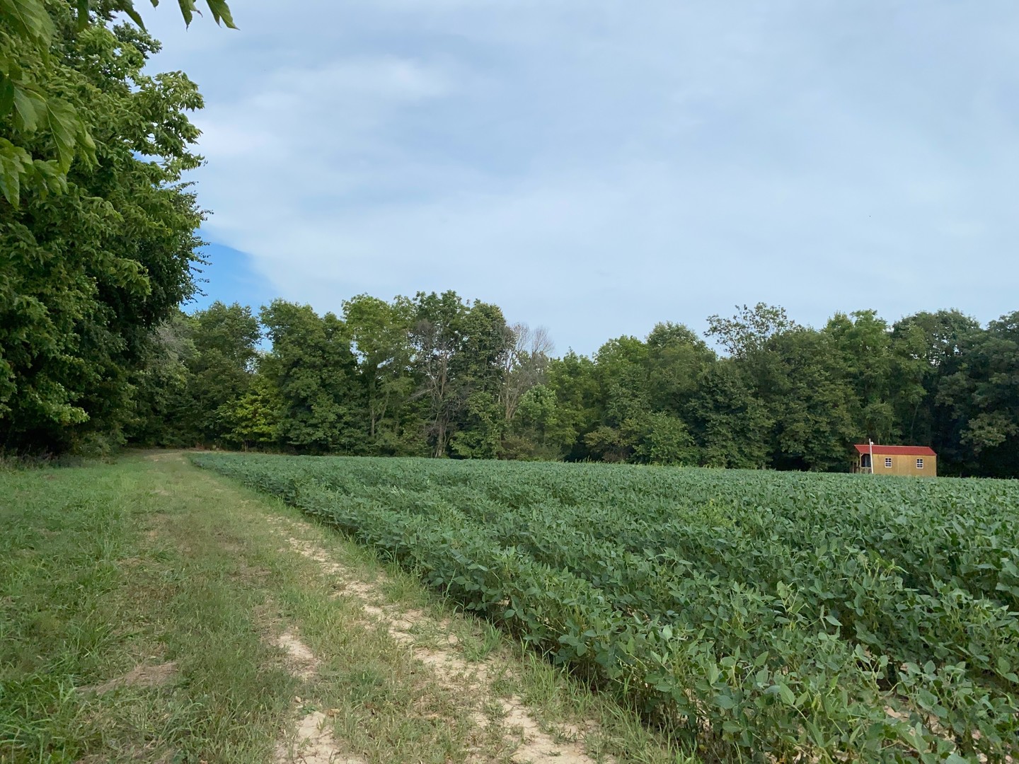 Sec 7 Shiloh Road Mackinaw, IL 61759 - Photo 6 of 44