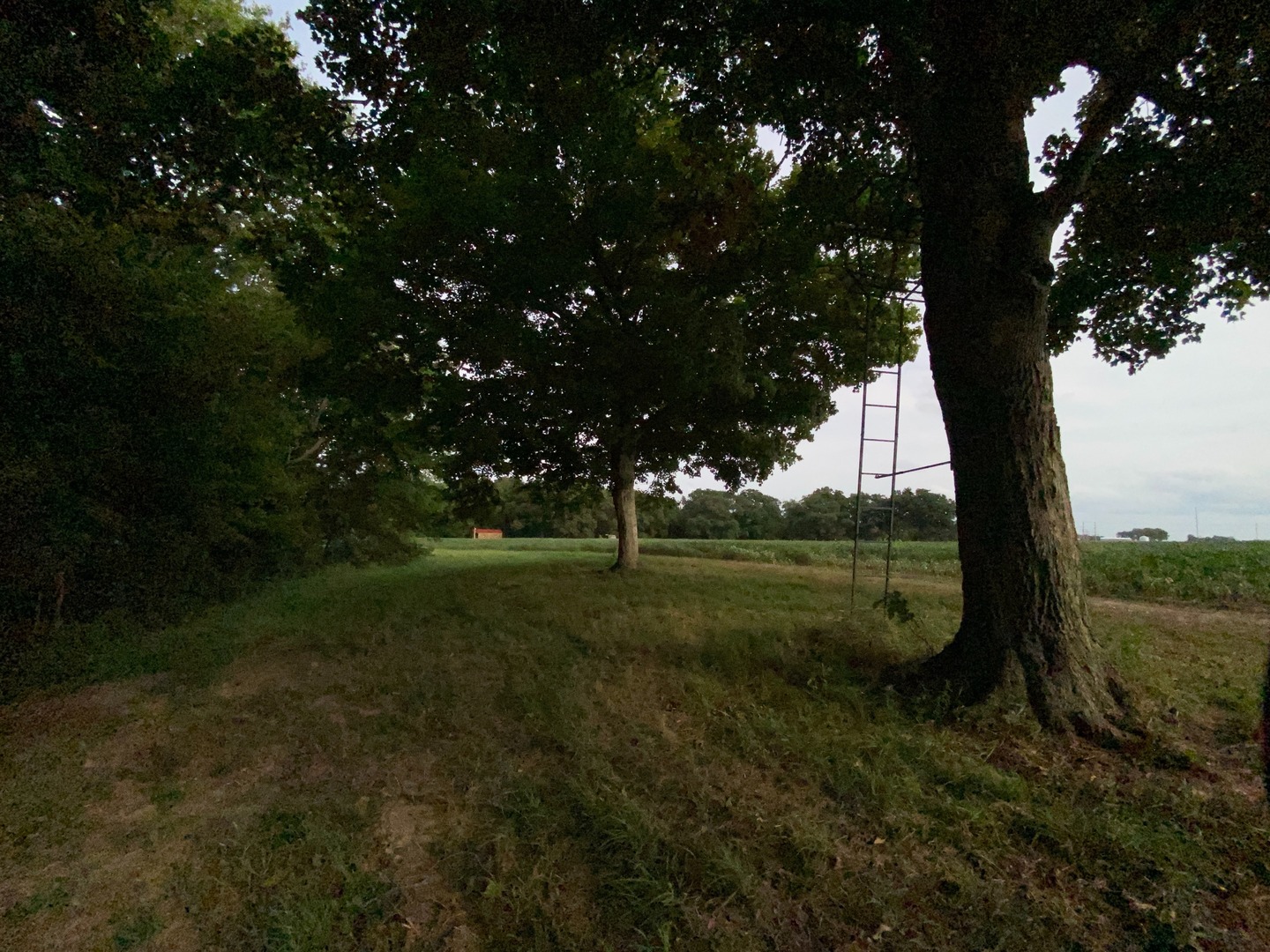 Sec 7 Shiloh Road Mackinaw, IL 61759 - Photo 9 of 44
