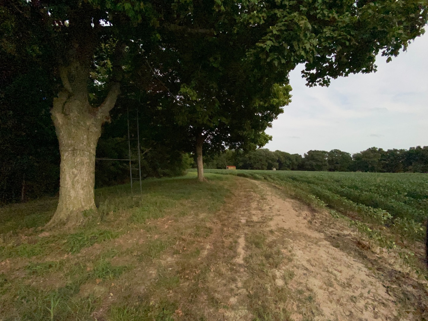 Sec 7 Shiloh Road Mackinaw, IL 61759 - Photo 10 of 44