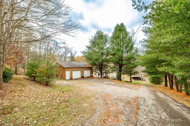 a view of a backyard