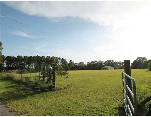 1191 Jessie Smith Road Lucedale, MS 39452 - Photo 1 of 25 Primary Photo