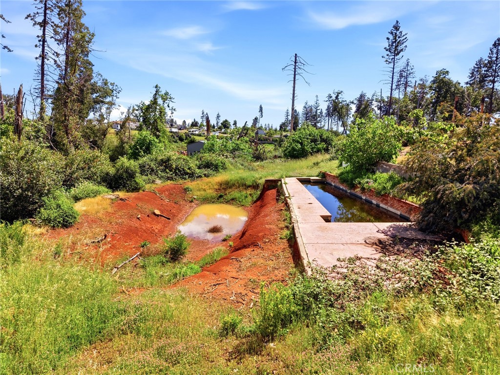 988 Pearson Road Paradise, CA 95969 - Photo 8 of 13 a view of a yard with swimming pool