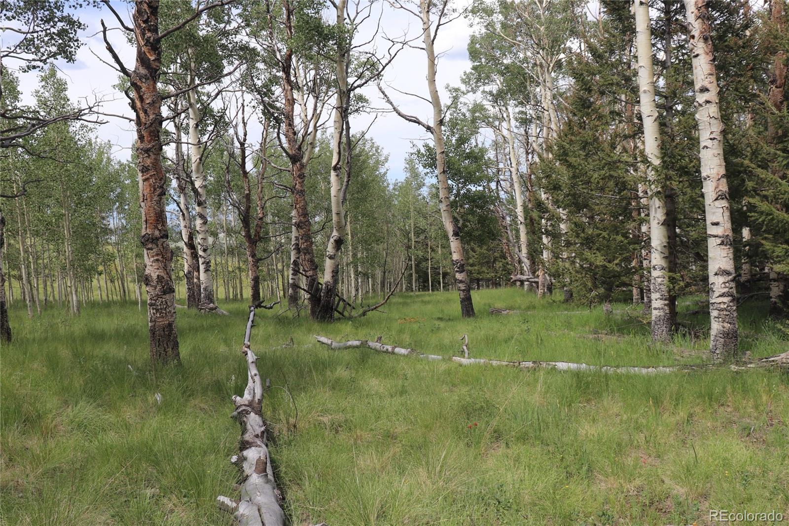 626 Kaufman Road Hartsel, CO 80449 - Photo 4 of 7 a view of a park