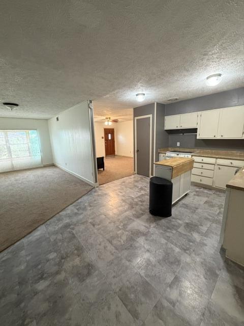 2801 60th Street Lubbock, TX 79413 - Photo 20 of 27 IMG_0687