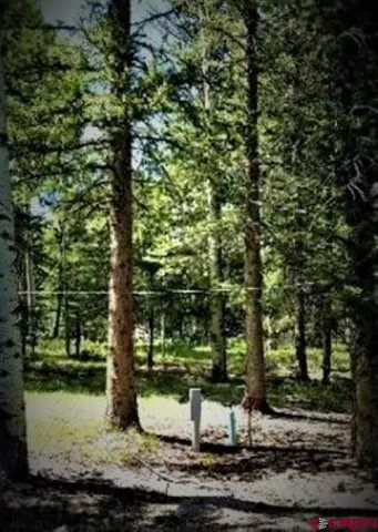 a view of a fire pit with large trees