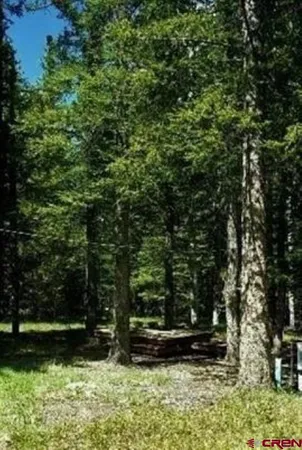 a view of a back yard