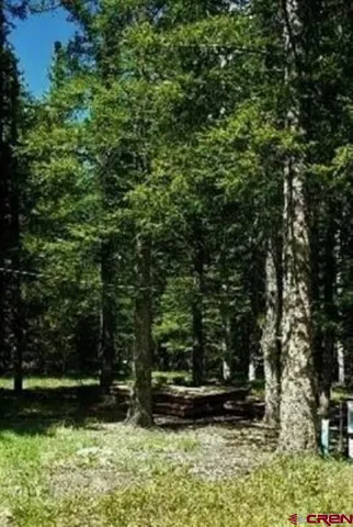 a view of a back yard