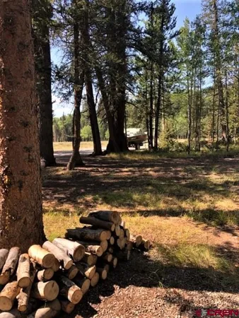 a view of a yard with lots of green space