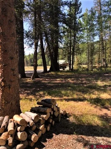 a view of a yard with lots of green space