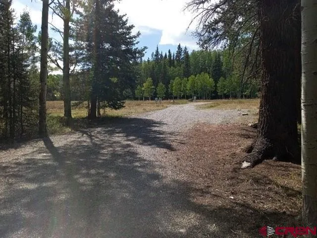 a view of a yard with a tree