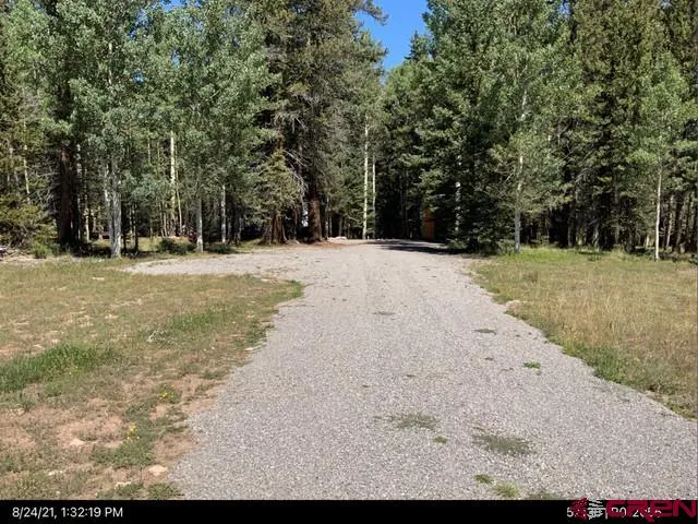 a view of a dirt yard with a large tree