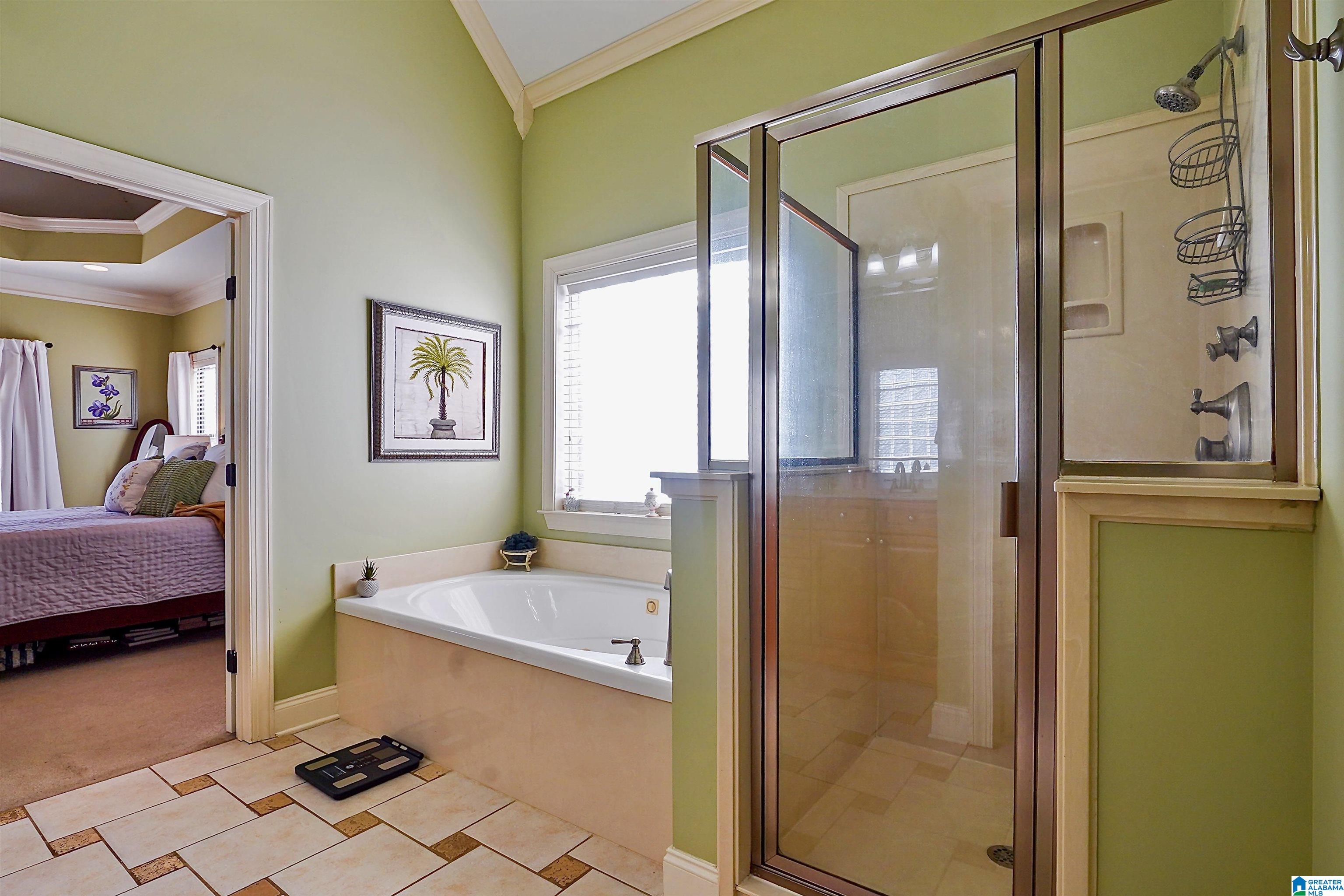 236 Thoroughbred Lane Alabaster, AL 35007 - Photo 38 of 68