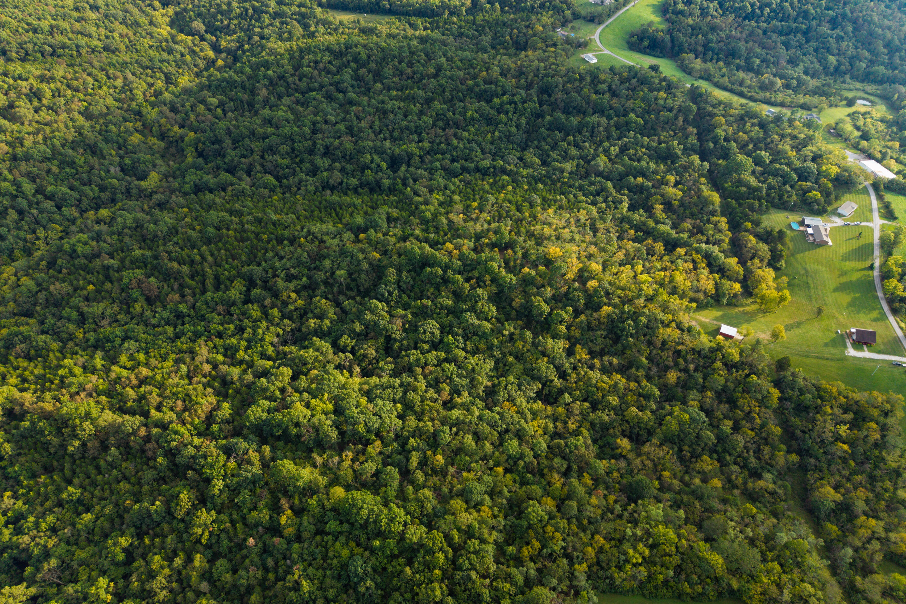 3926 Hogg Ridge Road Williamstown, KY 41097 - Photo 78 of 92 HoggDrone-19