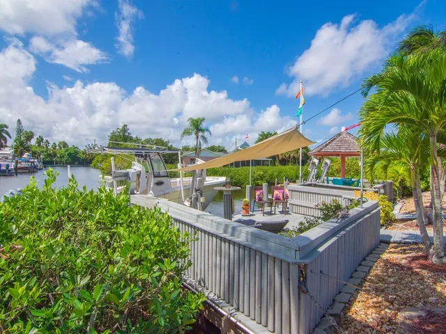 a view of a palm plant in front of a yard