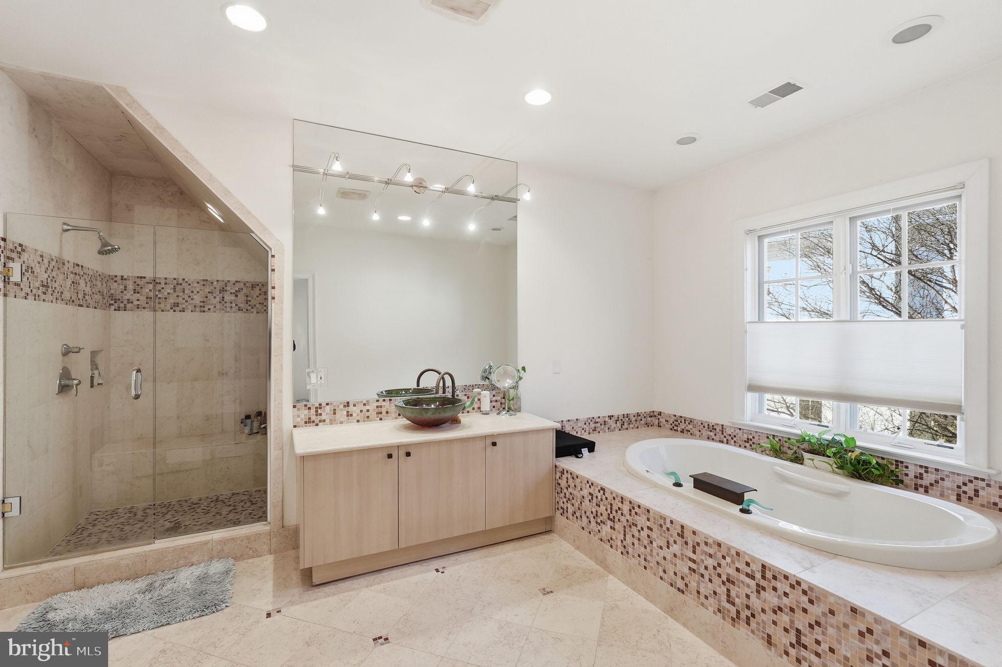 8537 Rapley Preserve Circle Potomac, MD 20854 - Photo 19 of 40 a bathroom with a granite countertop bathtub a sink a mirror a shower and vanity