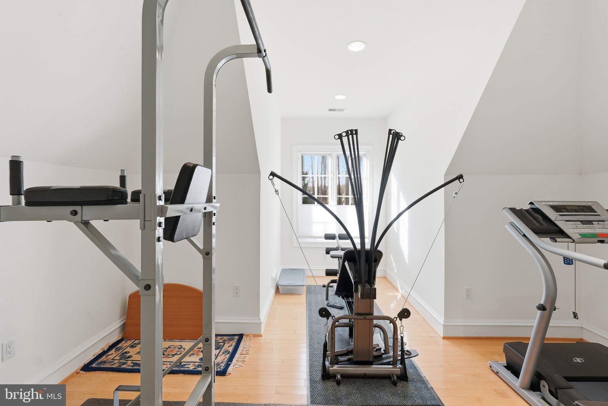 8537 Rapley Preserve Circle Potomac, MD 20854 - Photo 21 of 40 a view of a room with gym equipment