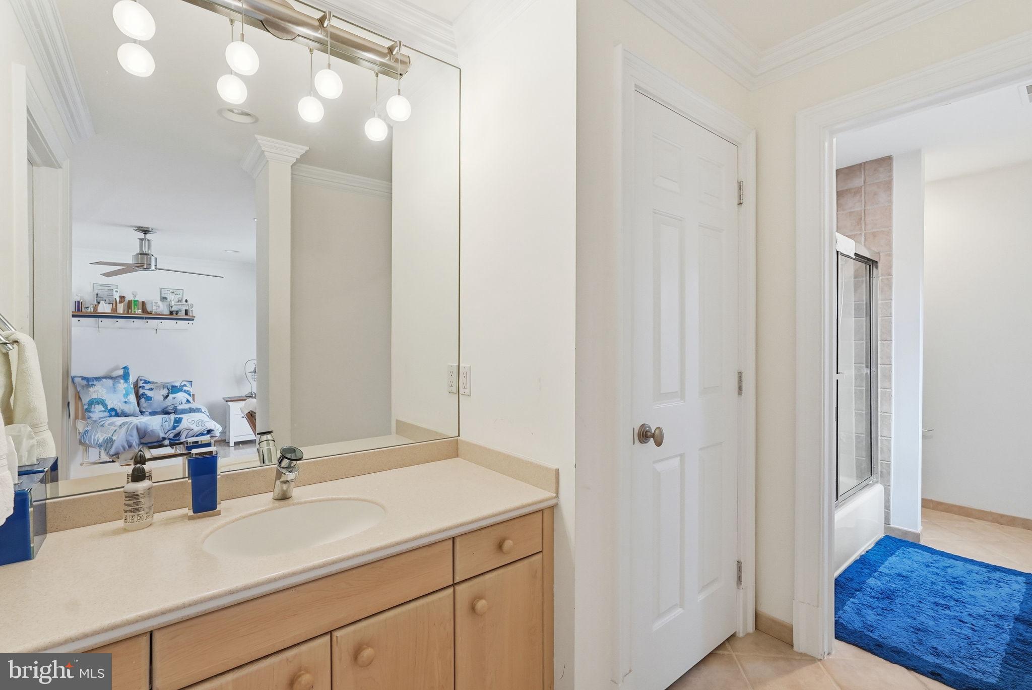 8537 Rapley Preserve Circle Potomac, MD 20854 - Photo 23 of 40 a bathroom with a sink and a mirror