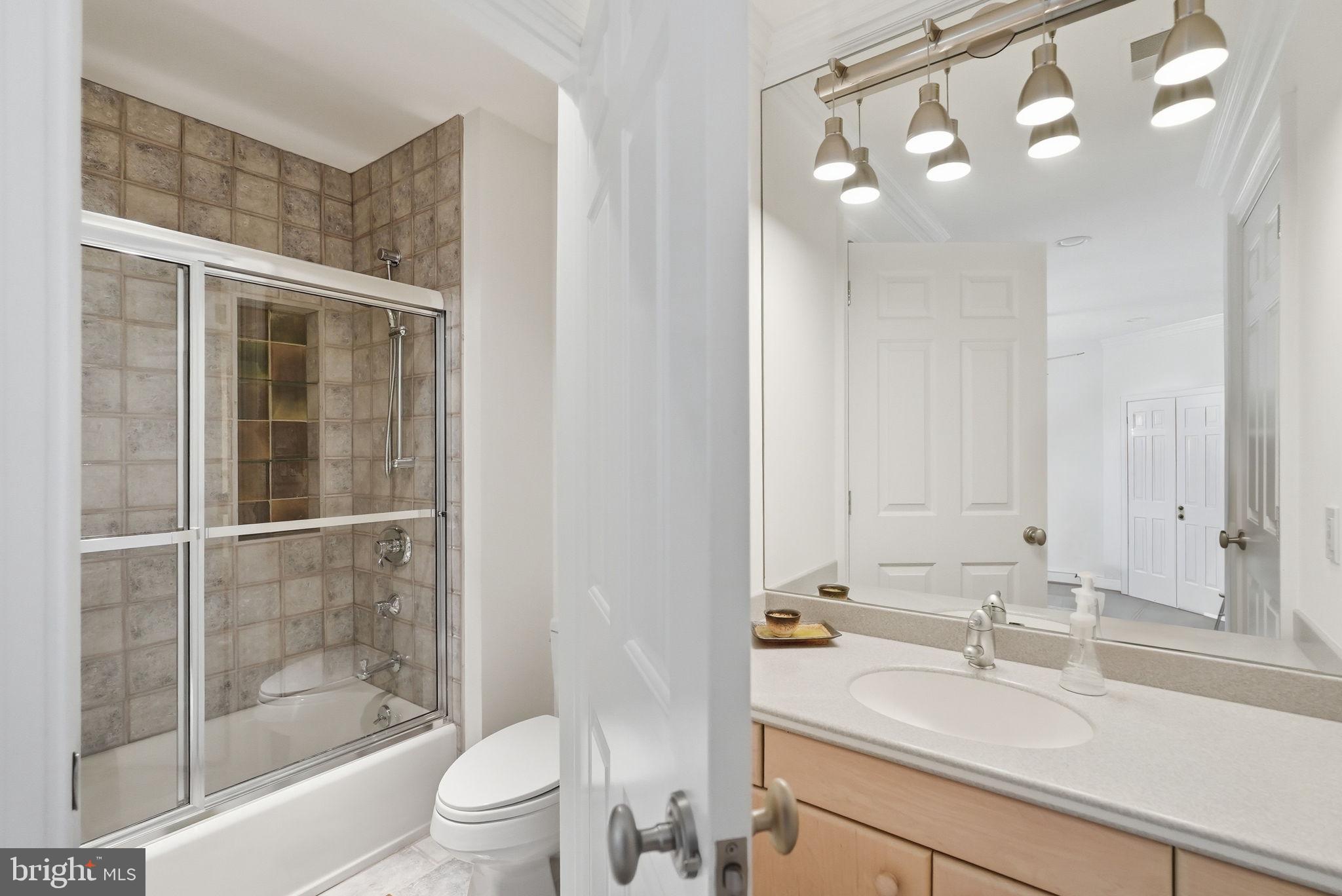 8537 Rapley Preserve Circle Potomac, MD 20854 - Photo 29 of 40 a bathroom with a sink a toilet and shower