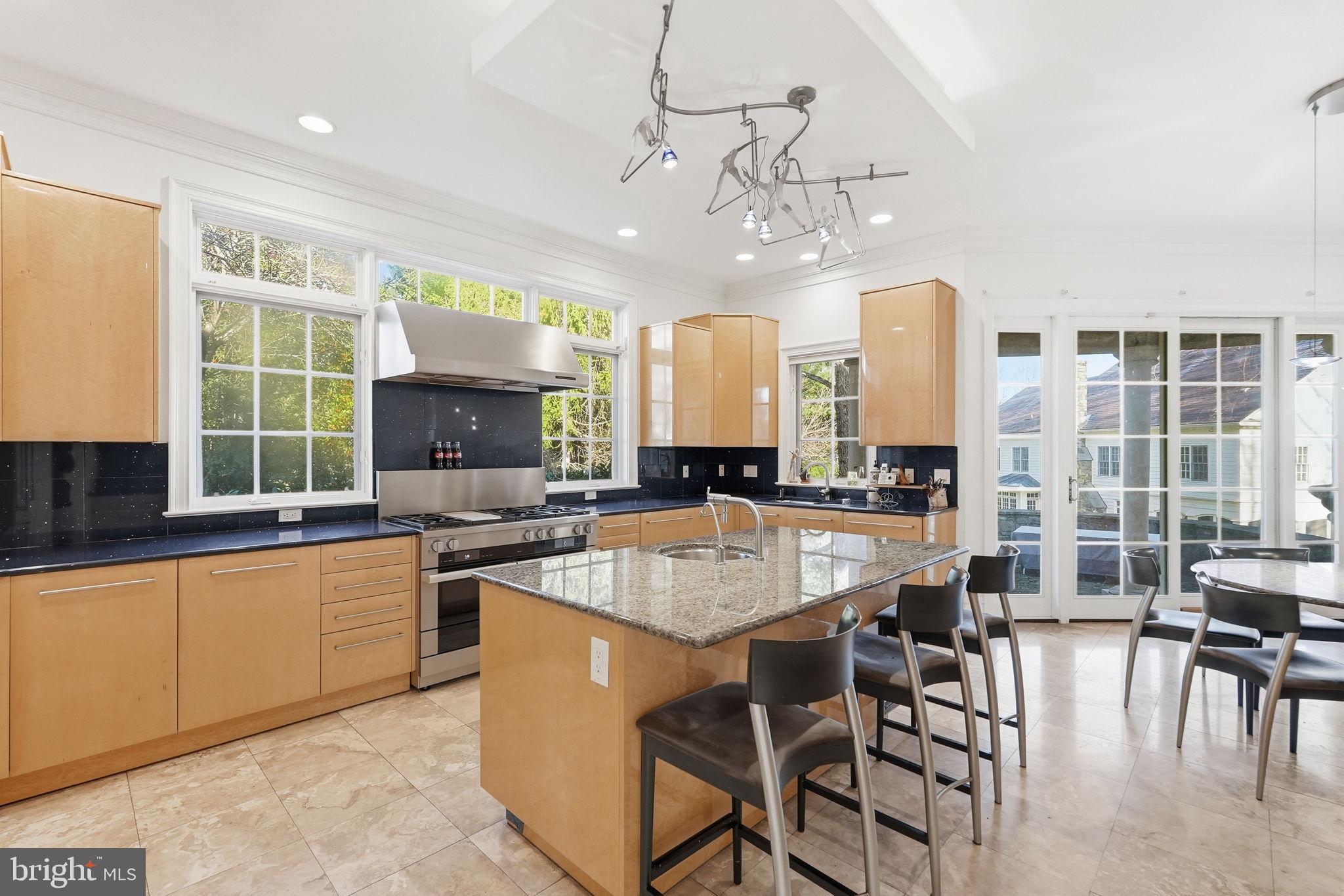 8537 Rapley Preserve Circle Potomac, MD 20854 - Photo 10 of 40 a large kitchen with kitchen island a large counter top space appliances and cabinets