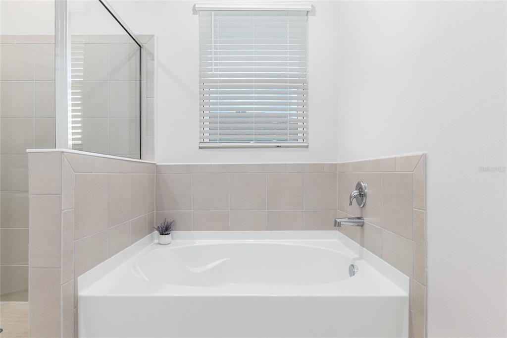 6243 Southwest 89th St Road Ocala, FL 34476 - Photo 19 of 57 a white bath tub sitting next to a window