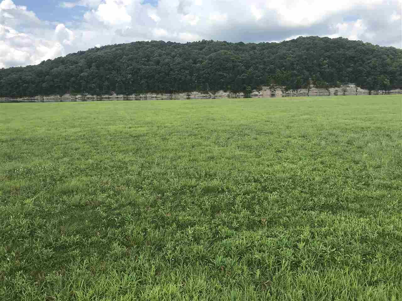 1074 Hardin Bottom Road Clifton, TN 38425 - Photo 1 of 6 Gallery Image 1