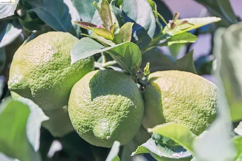 a view of an outdoor space