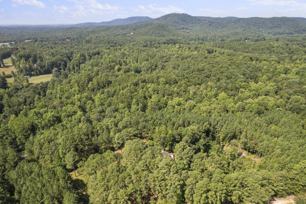 374 Odell Shoals Road Walhalla, SC 29691 - Photo 49 of 49 Gallery Image 49