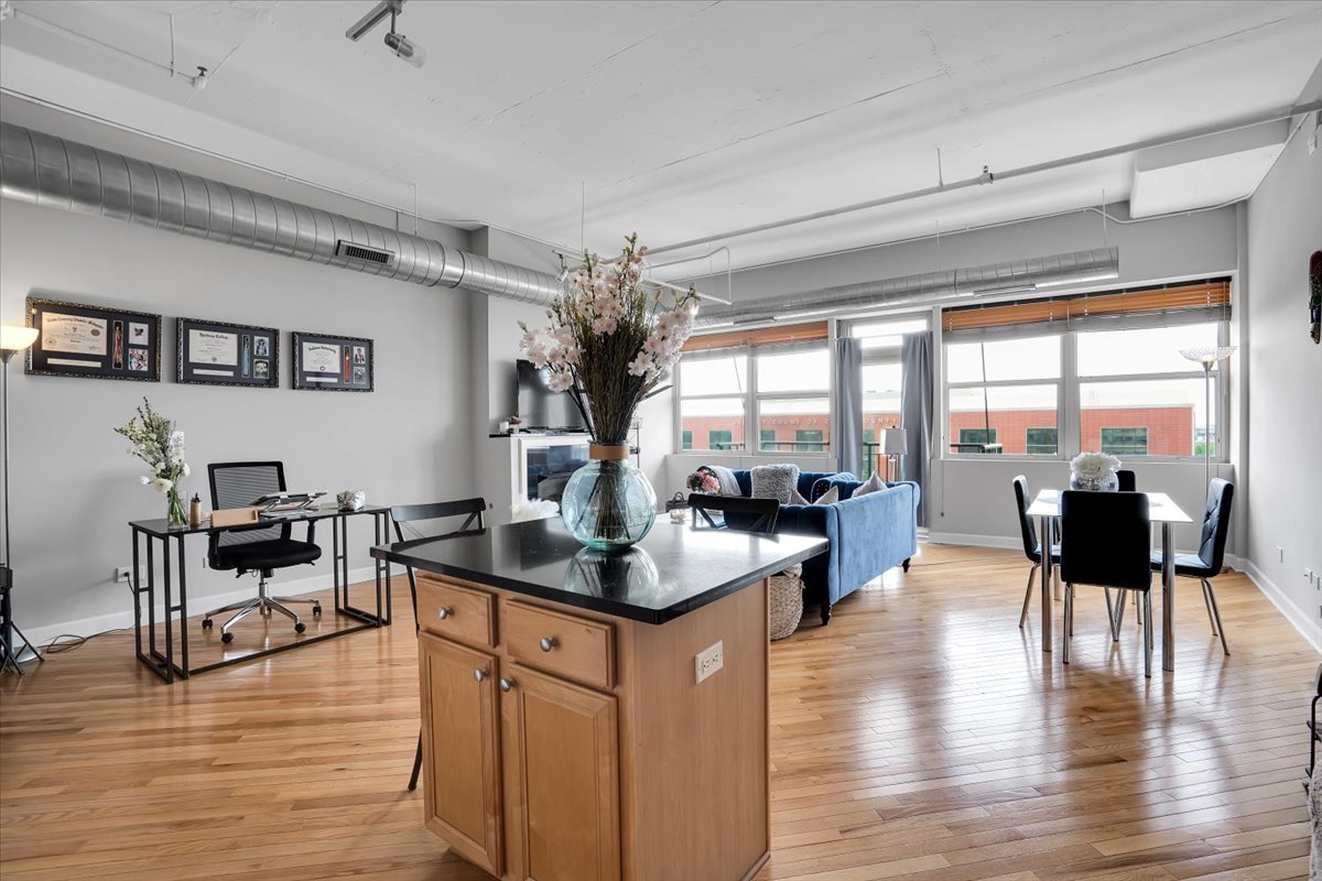 500 South Clinton Street, Unit 527 Chicago, IL 60607 - Photo 16 of 38 Gallery Image 16