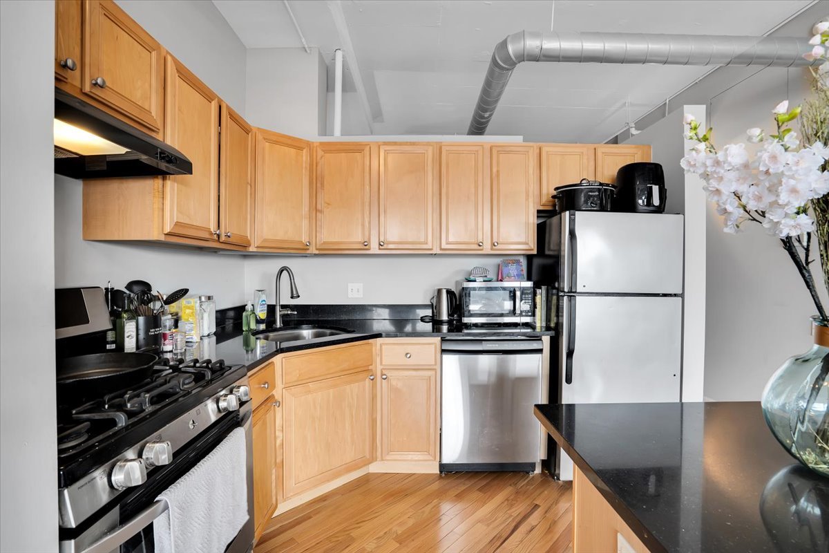 500 South Clinton Street, Unit 527 Chicago, IL 60607 - Photo 18 of 38 Gallery Image 18