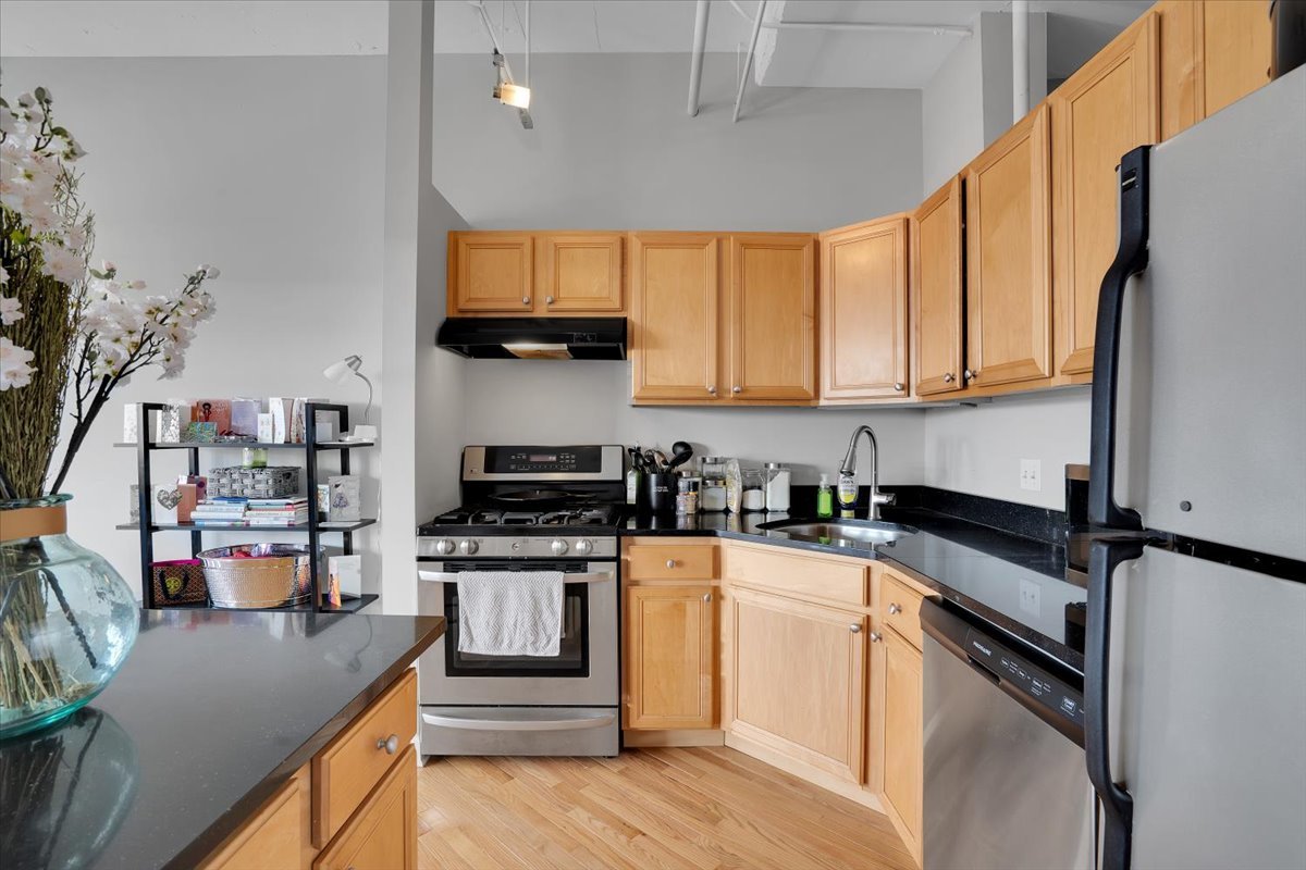 500 South Clinton Street, Unit 527 Chicago, IL 60607 - Photo 19 of 38 Gallery Image 19
