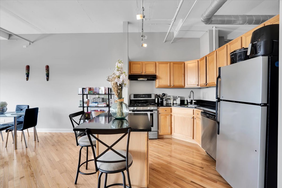 500 South Clinton Street, Unit 527 Chicago, IL 60607 - Photo 20 of 38 Gallery Image 20