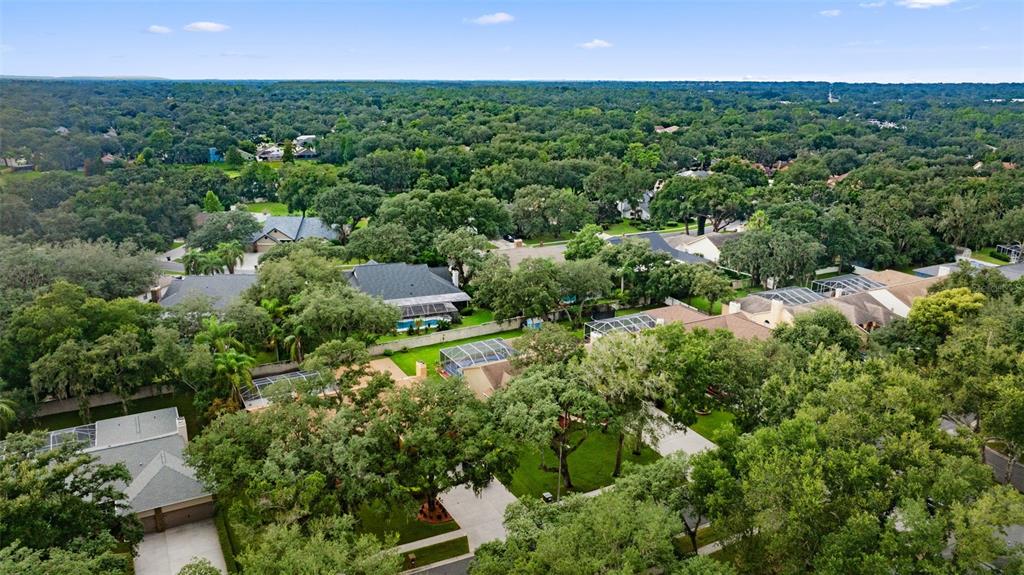 2561 Regal River Road Valrico, FL 33596 - Photo 52 of 56 Gallery Image 52