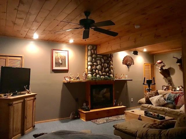 138 Three Track Mountain Road Warnerville, NY 12187 - Photo 38 of 45 Photo 38