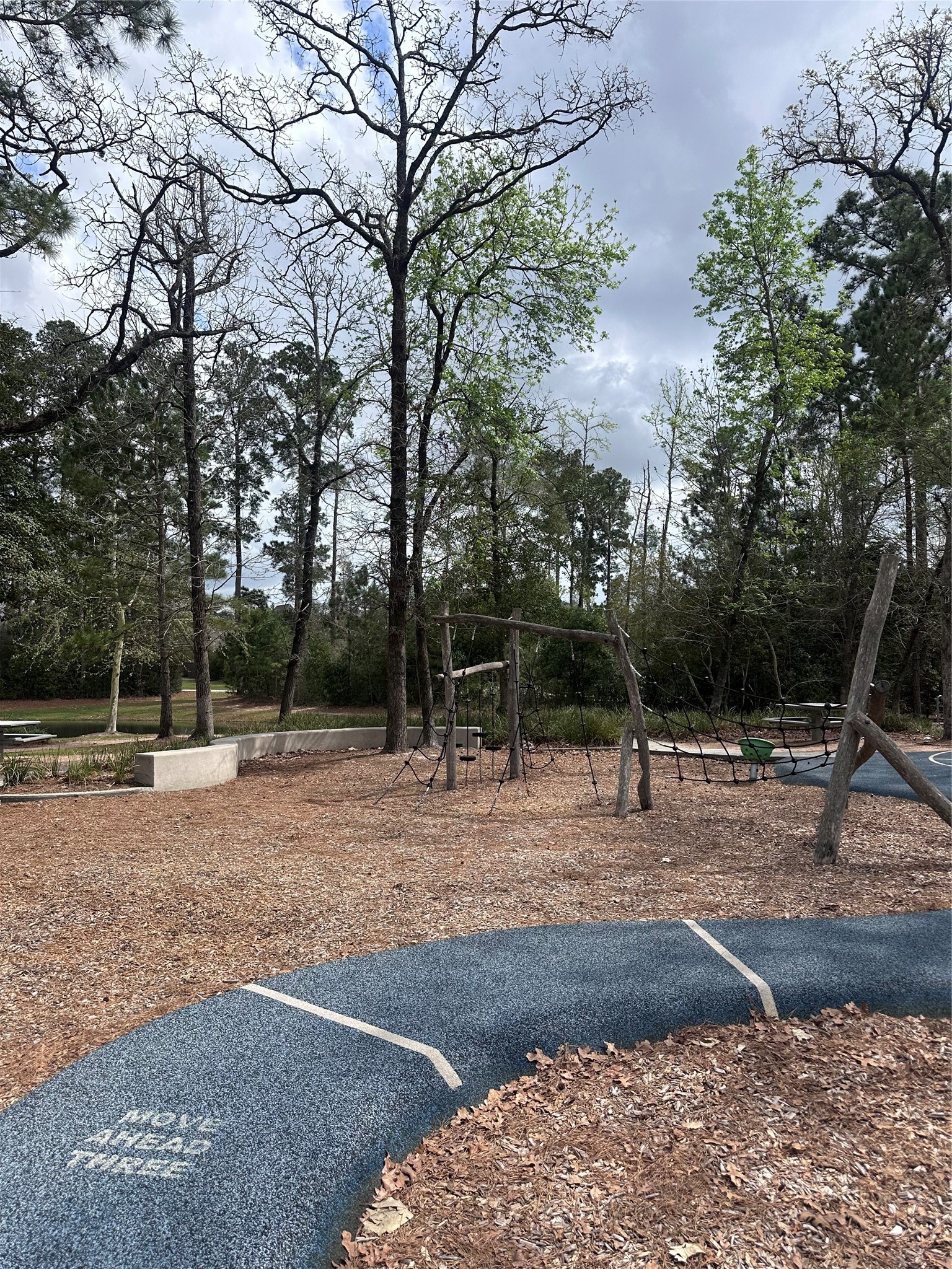 6 Gentle Branch Place Tomball, TX 77375 - Photo 37 of 41