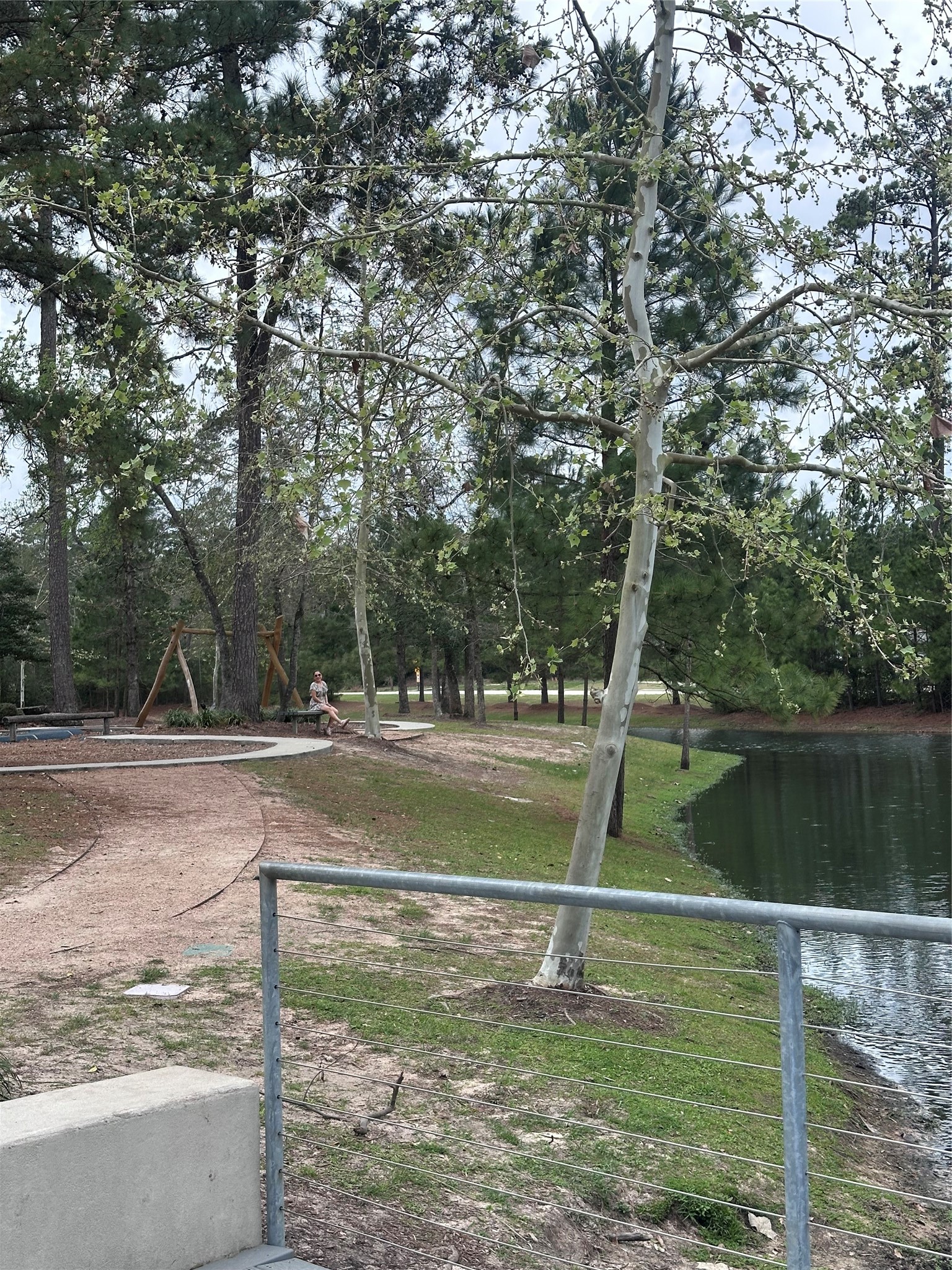 6 Gentle Branch Place Tomball, TX 77375 - Photo 39 of 41