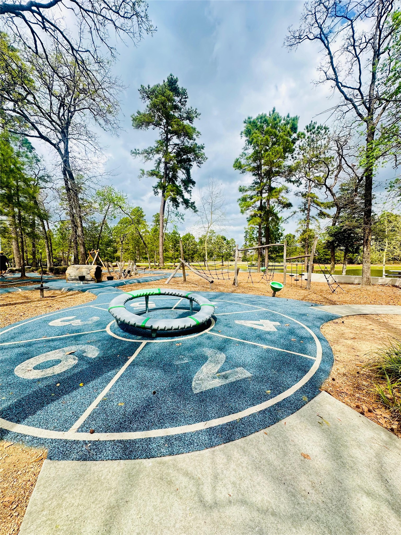 6 Gentle Branch Place Tomball, TX 77375 - Photo 40 of 41