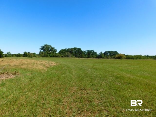 5884 Saroadine Road Brewton, AL 36426 - Photo 37 of 45