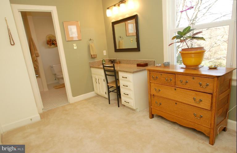 2808 Rifle Ridge Road Oakton, VA 22124 - Photo 8 of 30 Bath (Master)