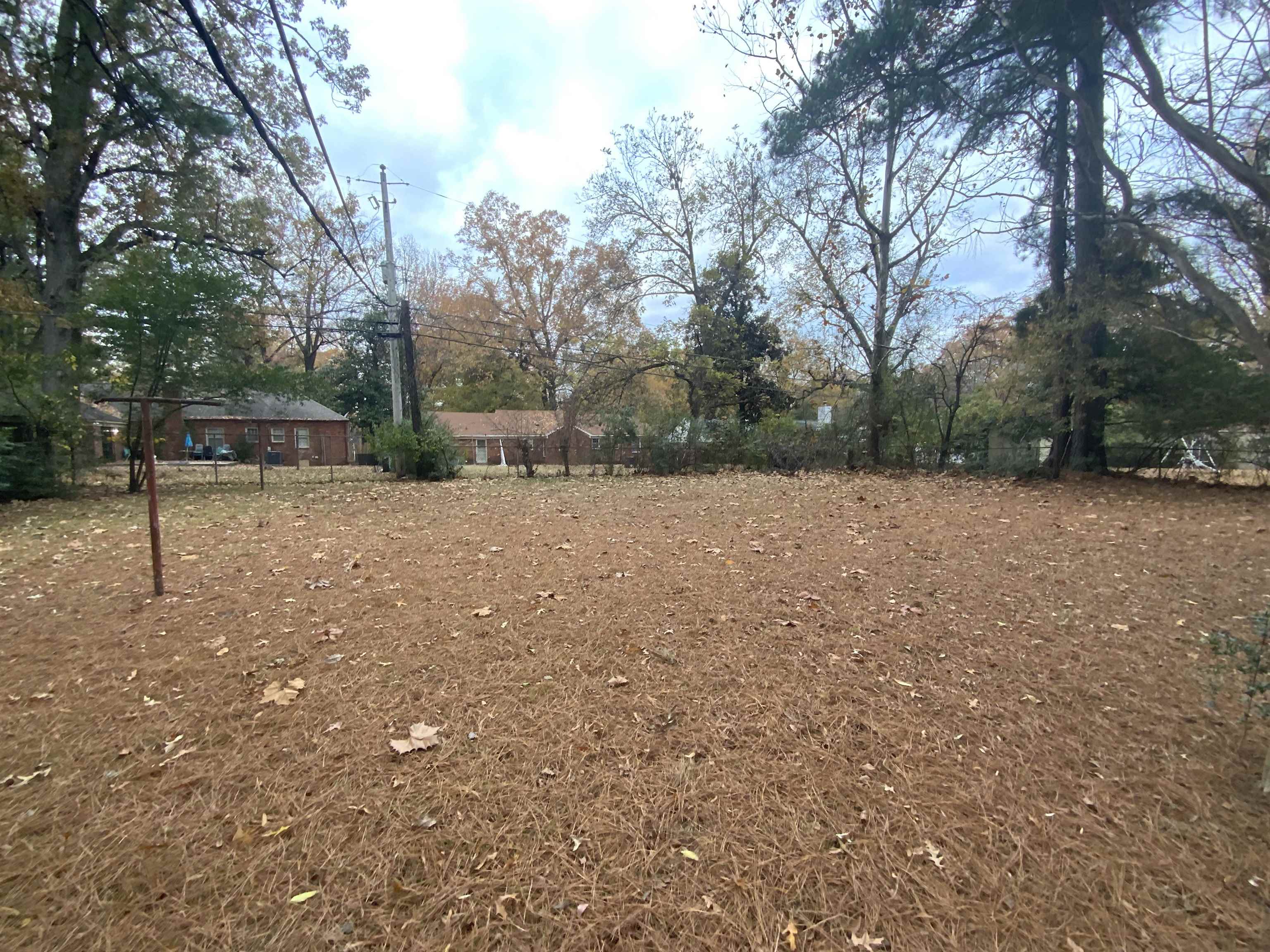 2965 Falkirk Road Memphis, TN 38128 - Photo 22 of 27 a backyard of a house with lots of green space