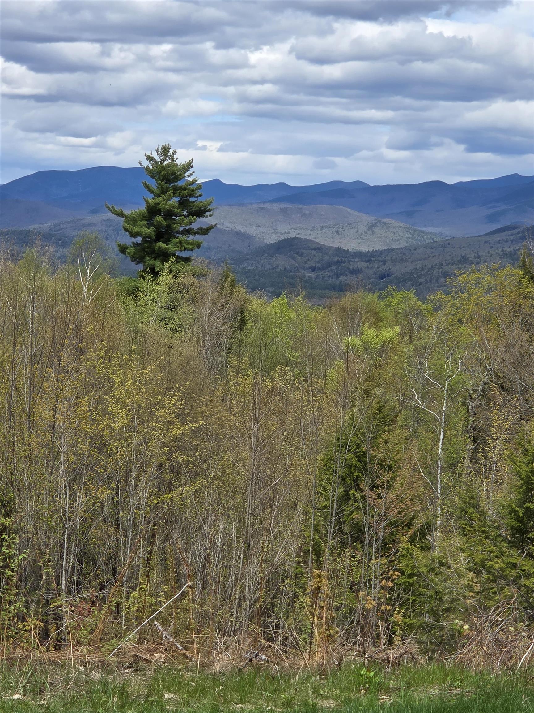 15 Antler Road Campton, NH 03223 - Photo 41 of 60