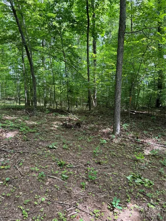 $869,000 | 8733 Holdsclaw Road, Terrell, NC 28682