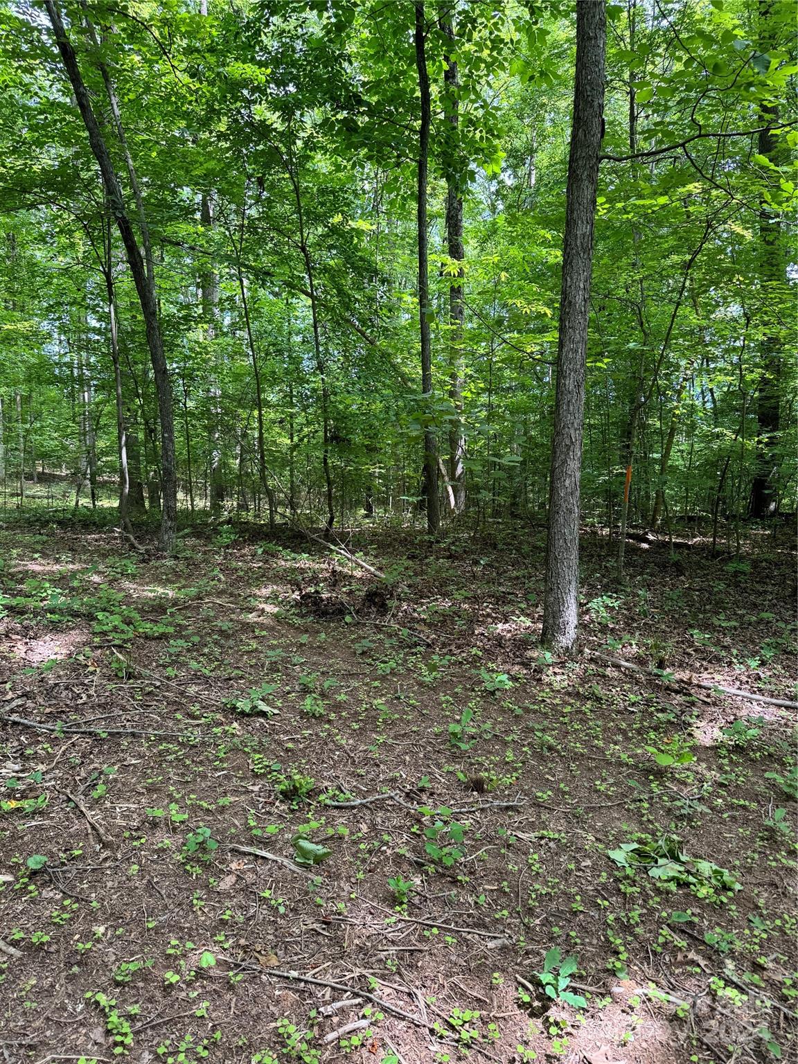 8733 Holdsclaw Road Terrell, NC 28682 - Photo 8 of 16