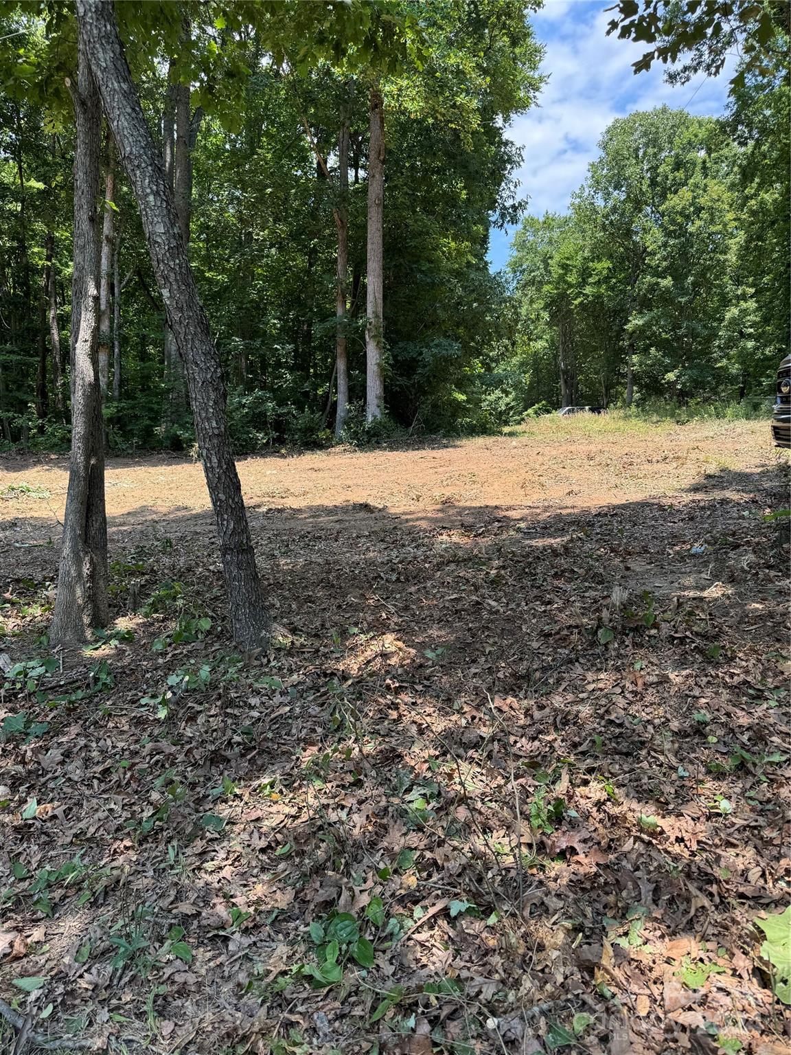 8733 Holdsclaw Road Terrell, NC 28682 - Photo 10 of 16